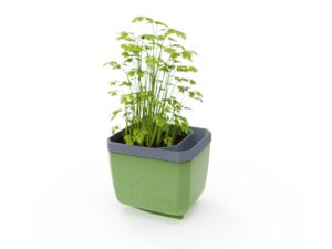 Gusta Garden HERBS BUDDY samozavlažovací kvetináč zelený