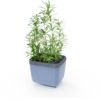 Gusta Garden HERBS BUDDY samozavlažovací kvetináč antracitový