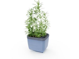 Gusta Garden HERBS BUDDY samozavlažovací kvetináč antracitový