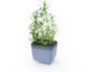 Gusta Garden HERBS BUDDY samozavlažovací kvetináč antracitový