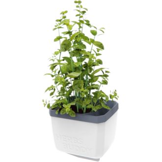 Gusta Garden HERBS BUDDY samozavlažovací kvetináč biely