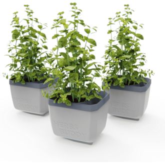 Gusta Garden HERBS BUDDY samozavlažovací kvetináč svetlosivý, 3ks v balení