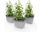 Gusta Garden HERBS BUDDY samozavlažovací kvetináč svetlosivý, 3ks v balení