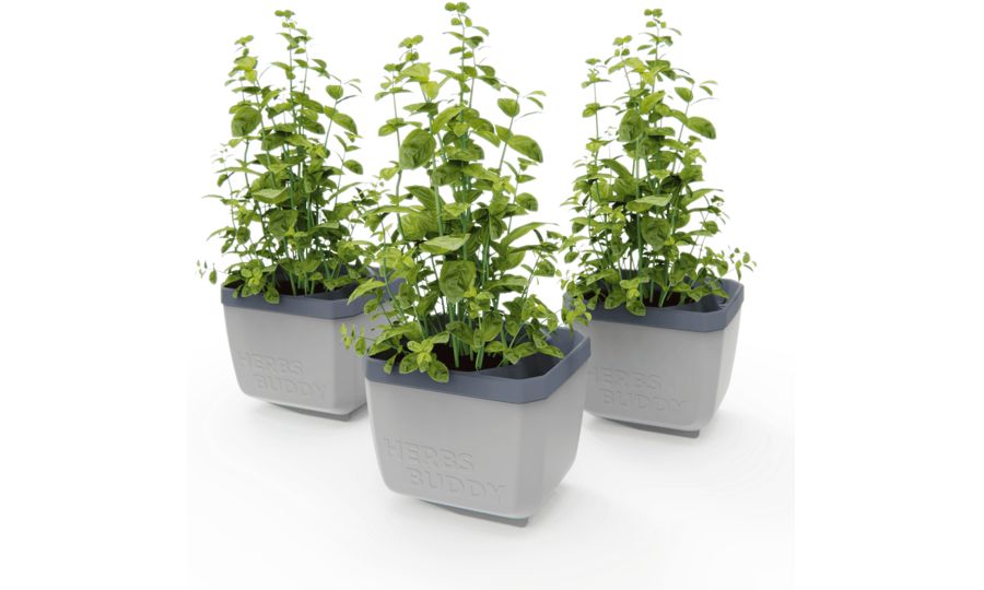 Gusta Garden HERBS BUDDY samozavlažovací kvetináč svetlosivý, 3ks v balení