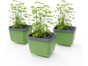 Gusta Garden HERBS BUDDY samozavlažovací kvetináč zelený, 3ks v balení