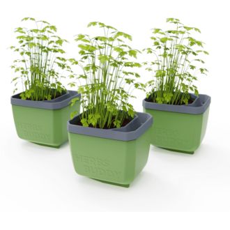 Gusta Garden HERBS BUDDY samozavlažovací kvetináč zelený, 3ks v balení