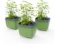 Gusta Garden HERBS BUDDY samozavlažovací kvetináč zelený, 3ks v balení