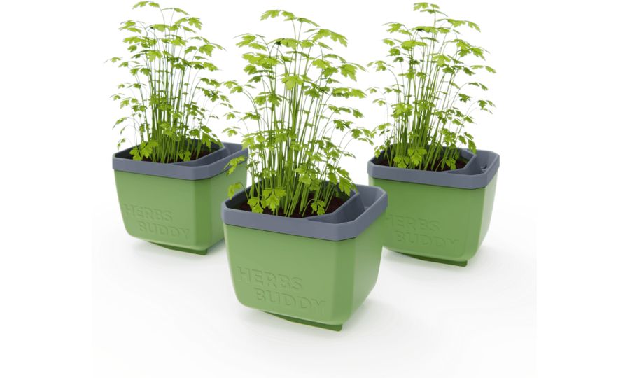 Gusta Garden HERBS BUDDY samozavlažovací kvetináč zelený, 3ks v balení