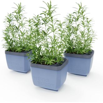 Gusta Garden HERBS BUDDY samozavlažovací box antracitový, 3ks v balení