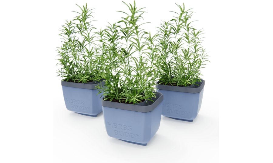 Gusta Garden HERBS BUDDY samozavlažovací box antracitový, 3ks v balení
