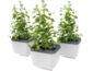 Gusta Garden HERBS BUDDY samozavlažovací kvetináč biely, 3ks v balení