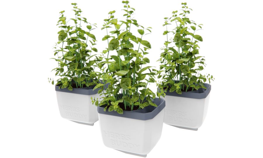 Gusta Garden HERBS BUDDY samozavlažovací kvetináč biely, 3ks v balení