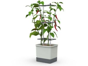 Gusta Garden CHARLY CHILI XL samozavlažovací kvetináč svetlosivý