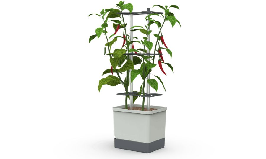 Gusta Garden CHARLY CHILI XL samozavlažovací kvetináč svetlosivý