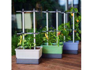 Gusta Garden CHARLY CHILI XL samozavlažovací kvetináč svetlosivý