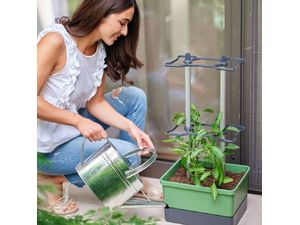 Gusta Garden CHARLY CHILI XL samozavlažovací kvetináč svetlosivý