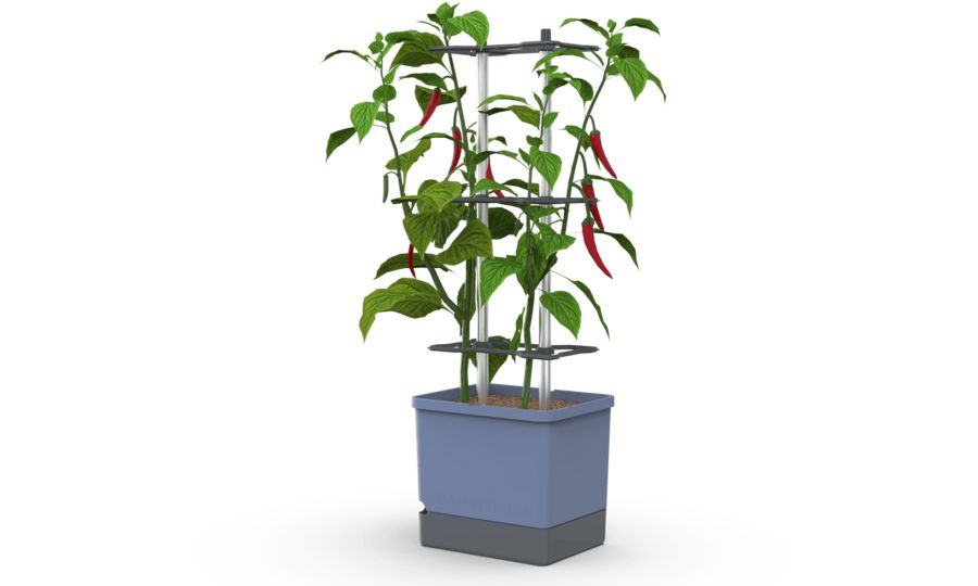 Gusta Garden CHARLY CHILI XL samozavlažovací kvetináč modrý