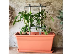 Gusta Garden CHILI BUDDY podporná veža, 3ks v balení