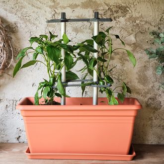 Gusta Garden CHILI BUDDY podporná veža, 3ks v balení