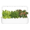 Click and Grow Smart Garden 9 smart pot + 9ks semenných kapsúl, biela