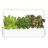 Click and Grow Smart Garden 9 smart pot + 9ks semenných kapsúl, biela