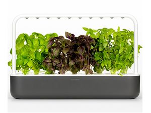 Click and Grow Smart Garden 9 smart pot + 9ks semenných kapsúl, sivá