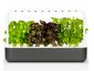 Click and Grow Smart Garden 9 smart pot + 9ks semenných kapsúl, sivá