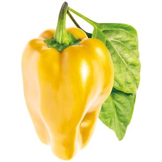 Click and Grow sladká žltá paprika, kapsule so semenami a substrátom 3ks