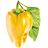 Click and Grow sladká žltá paprika, kapsule so semenami a substrátom 3ks