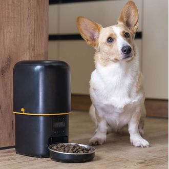 Dávkovač krmiva EMOS Pet Care, 4 l, čierny