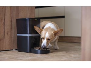 Dávkovač krmiva EMOS GoSmart s kamerou, 6 l, čierny, Wi-Fi