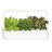Click and Grow Smart Garden 9 Pro šikovný kvetináč + 9ks kapsúl so semienkami, biely