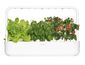 Click and Grow Smart Garden 9 Pro šikovný kvetináč + 9ks kapsúl so semienkami, biely