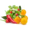 Click and Grow Zmes ovocia a zeleniny, kapsule so semienkami a substrátom 9ks