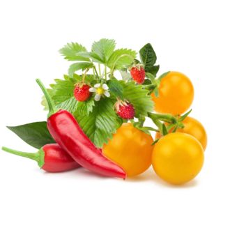 Click and Grow Zmes ovocia a zeleniny, kapsule so semienkami a substrátom 9ks