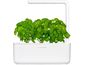 Click and Grow Smart Garden 3 smart pot + 3ks kapsúl so semienkami bazalky, biela