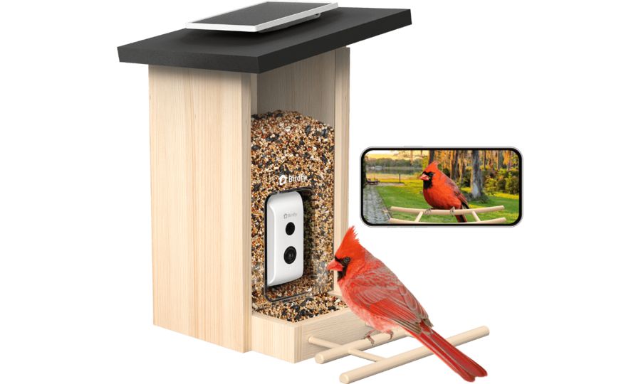 Birdfy Feeder Ebony Lite