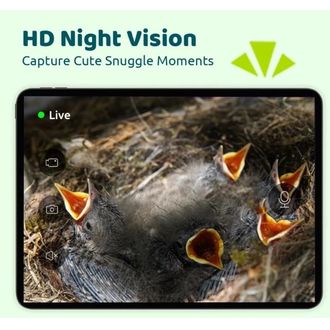 Birdfy House Ebony Lite