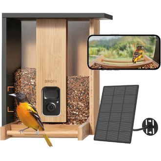 Birdfy Feeder Bamboo Lite Solar