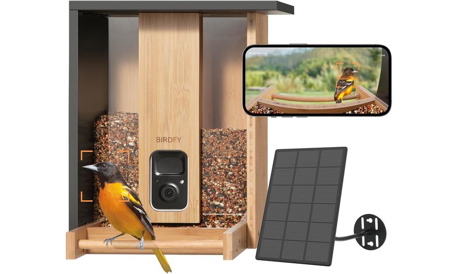 Birdfy Feeder Bamboo Lite Solar