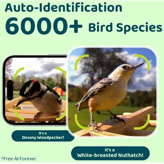 Birdfy Feeder Bamboo Lite Solar