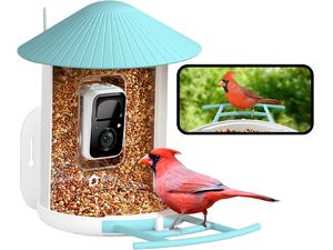 Kŕmidlo Birdfy (doživotná bezplatná AI)
