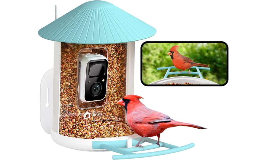 Kŕmidlo Birdfy (doživotná bezplatná AI)