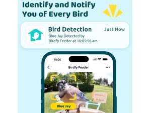 Kŕmidlo Birdfy (doživotná bezplatná AI)