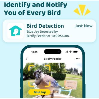 Kŕmidlo Birdfy (doživotná bezplatná AI)
