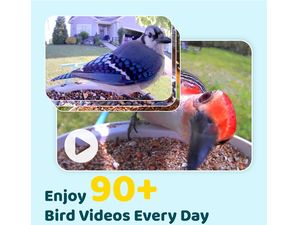 Kŕmidlo Birdfy (doživotná bezplatná AI)