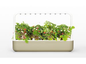 Click and Grow Smart Garden 9 smart pot + 9ks semenných kapsúl, béžová