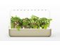 Click and Grow Smart Garden 9 smart pot + 9ks semenných kapsúl, béžová