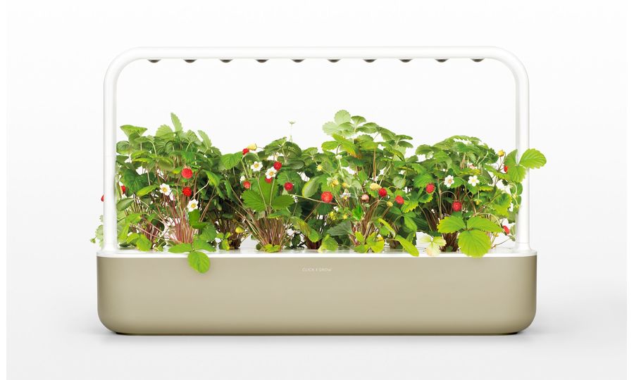 Click and Grow Smart Garden 9 smart pot + 9ks semenných kapsúl, béžová