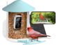 Birdfy Feeder Solar (predplatné AI)